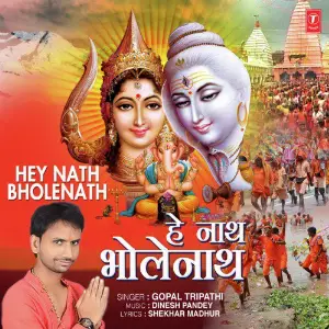 Hey Nath Bholenath image