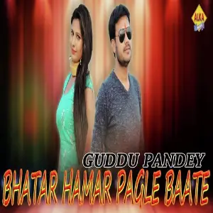 Bhatar Hamar Pagla Baate image
