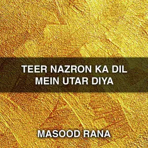 Teer Nazron Ka Dil Mein Utar Diya image