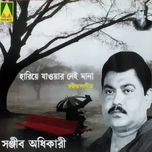 Hariye Jayoa Nei Mana image