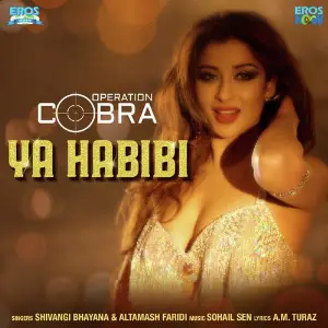 Operation Cobra image