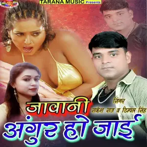 Jawani Angur Ho Jaai image