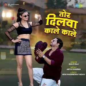 Tor Dilwa Kale Kale image