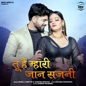 Tu Hai Mahari Jaan Sajni image