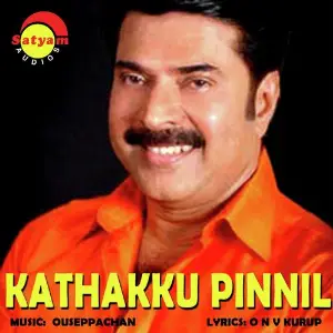Kathakku Pinnil image