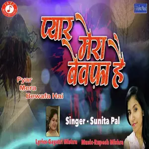 Pyar Mera Bewafaa Hai image