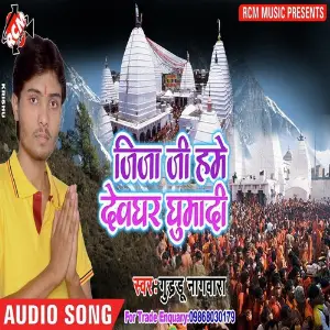 Jija Ji Hume Dewghar Ghumadi image
