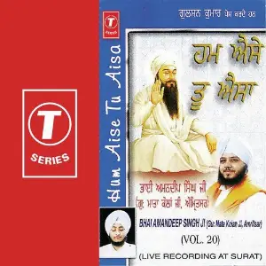Hum Aise Tu Aisa (Vol. 20) image
