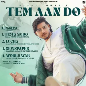 Tem Aan Do image