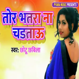 Tor Bhatra Na Chadtau image