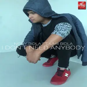 I Dont Need Anybody image