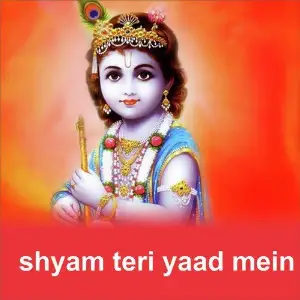 Shyam Teri Yaad Mein image