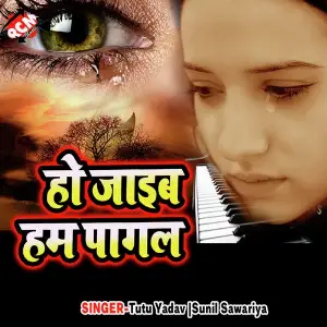 Ho Jaib Ham Pagal image