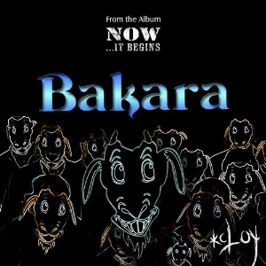 Bakara - Single image