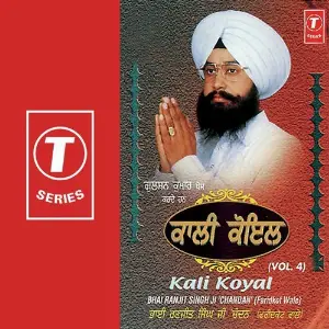 Kali Koyal image
