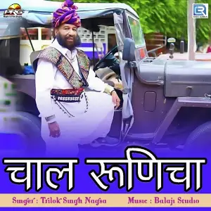 Chaal Runicha image