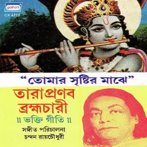 Tomar Sristir Majhe image