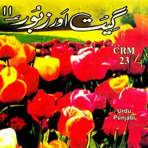 Geet Aur Zaboor, Vol. 11 image