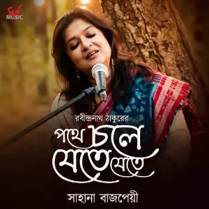 Pothe Chole Jete Jete image