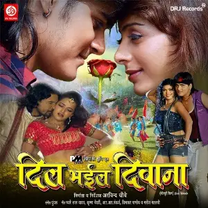 Dil Bhail Deewana image