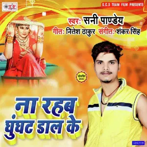 Na Rahab Ghughat Daal Ke image