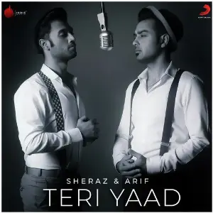 Teri Yaad - Single image
