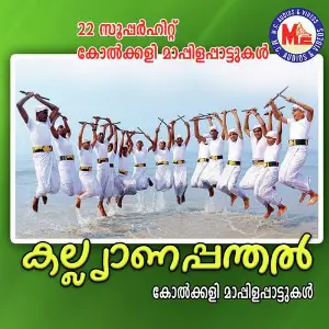 Kalyaanapanthal image