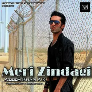 Meri Zindagi image