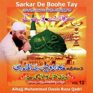 Sarkar De Boohe Tay, Vol. 12 image