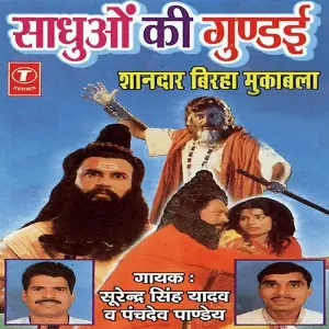 Sadhuo Ki Gundaai image