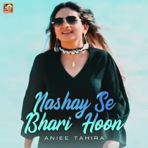 Nashay Se Bhari Hoon - Single image