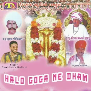 Halo Goga Ne Dham image