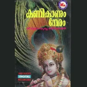 Kanikanum Neram image