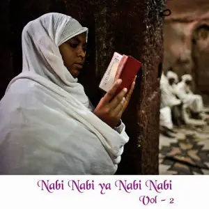 Nabi Nabi Ya Nabi Nabi, Vol. 2 Aziz Mian