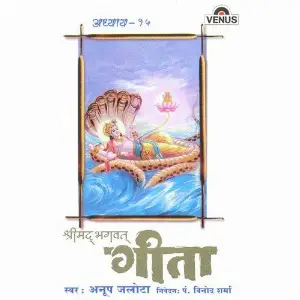 Shreemad Bhagwat Geeta - Vol. 15 image