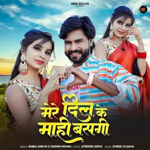 Mere Dil Ke Mahi Basgi image