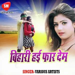 Bihari Hai Far Dem image