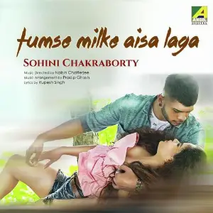 Tumse Milke Aisa Laga Ke image