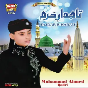 Tajdar E Haram image