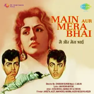 Main Aur Mera Bhai image