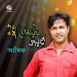 Sudhu Tomari Karone image