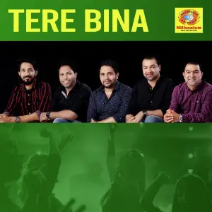 Tere Bina image