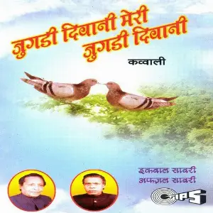 Jugdi Deewani Meri Jugdi Deewani image