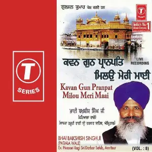 Kavan Gun Pranpat Milou Meri Maai (Vol. 8) image