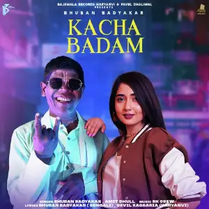 Kacha Badam (Haryanvi) image