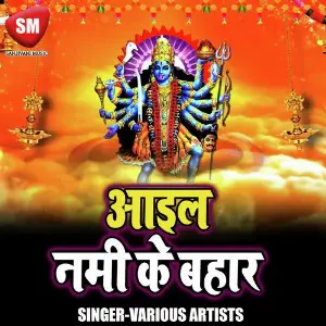 Aail Nami Ke Bahar image