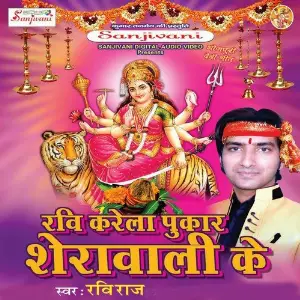 Ravi Kare La Pukar Sherawali Ke image