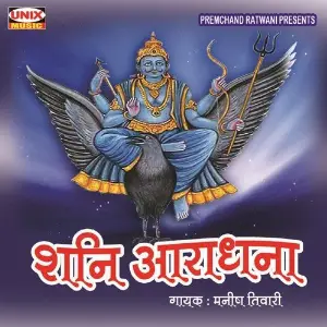 Shani Aaradhana image