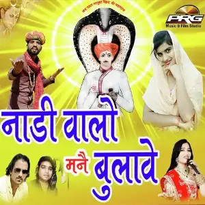 Naadi Walo Mane Bulave image
