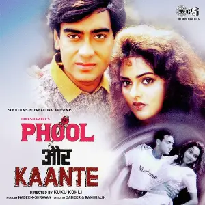 Phool Aur Kaante image